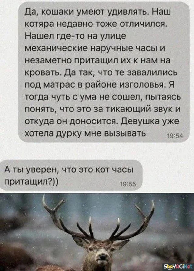 Порция смеха: свежие СМС-приколы Порция смеха: свежие СМС-приколы смс, приколы, юмор, переписки, смешное