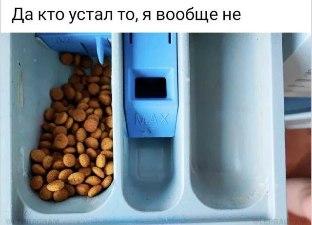 Настроение на весь день: отборный позитив позитив, настроение, подборка, фото, улыбка, радость