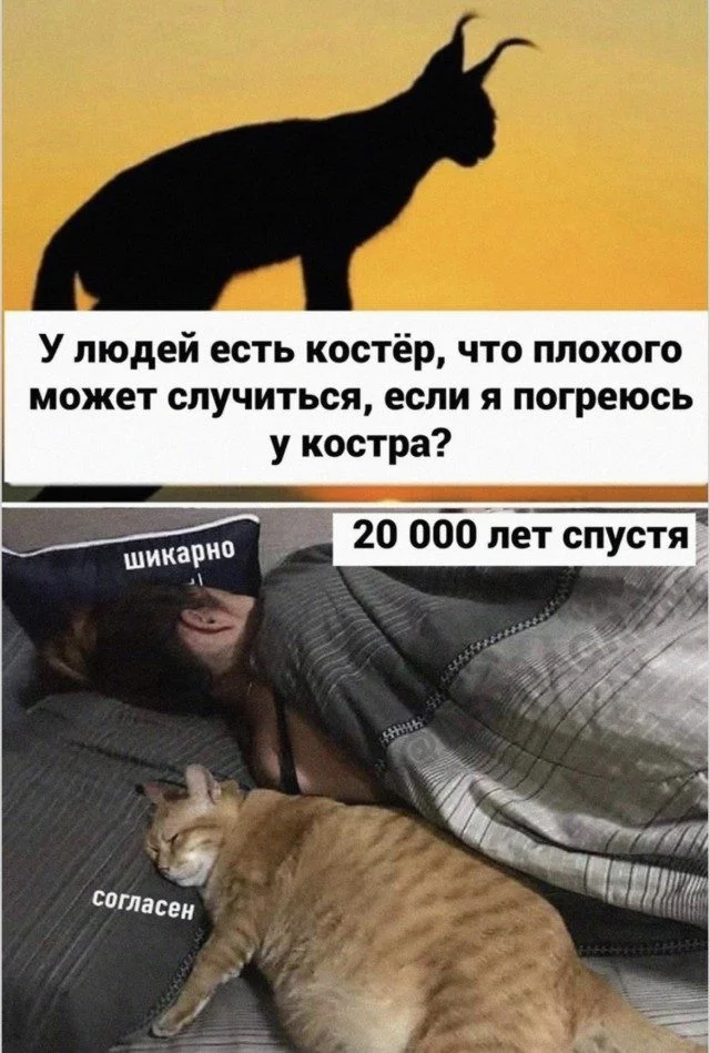 Настроение на весь день: отборный позитив позитив, настроение, подборка, фото, улыбка, радость