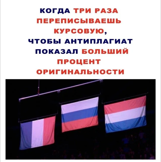 Настроение на весь день: отборный позитив позитив, настроение, подборка, фото, улыбка, радость