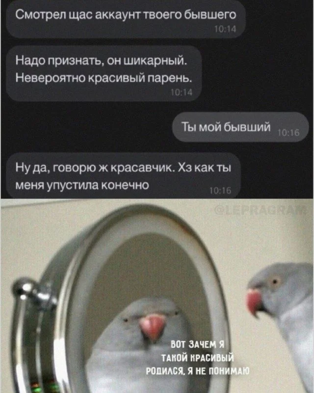 Настроение на весь день: отборный позитив позитив, настроение, подборка, фото, улыбка, радость