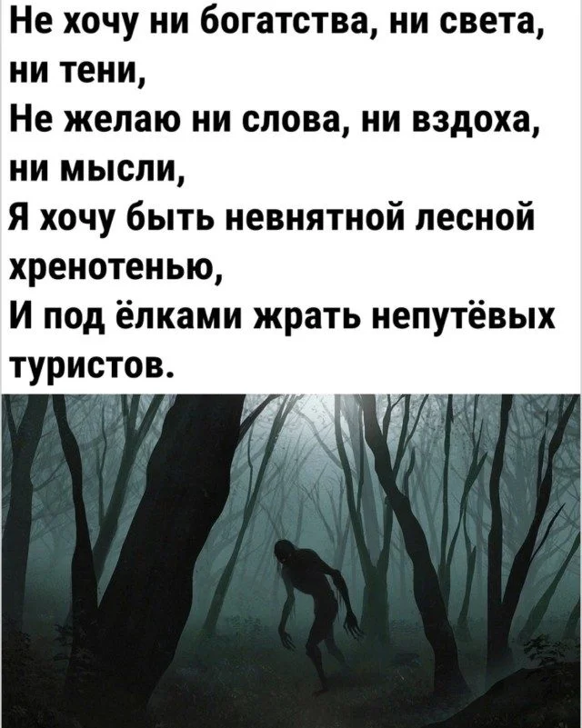Настроение на весь день: отборный позитив