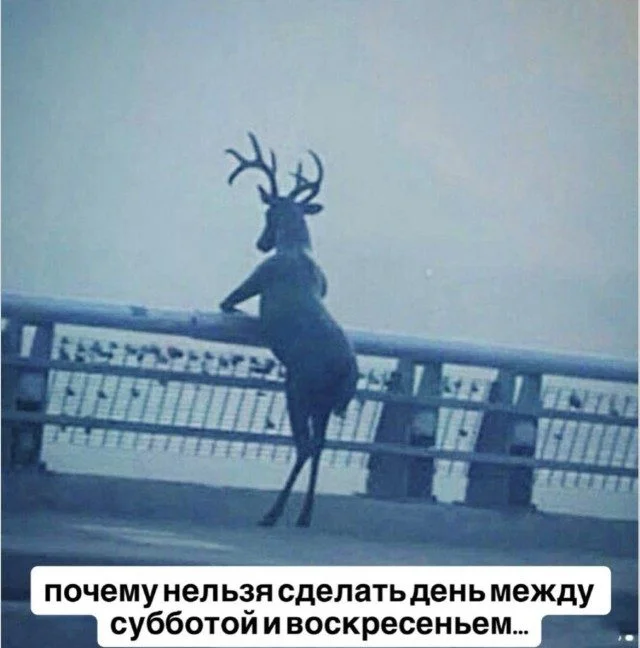 Заряжаемся смехом: угарная подборка мемов Заряжаемся смехом: угарная подборка мемов мемы, приколы, юмор, позитив, картинки