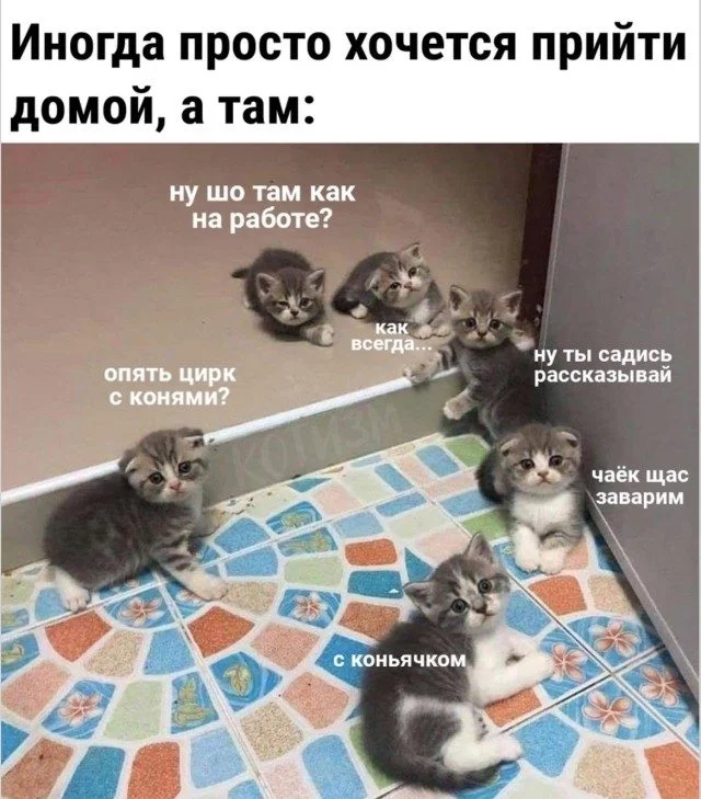 Заряжаемся смехом: угарная подборка мемов Заряжаемся смехом: угарная подборка мемов мемы, приколы, юмор, позитив, картинки