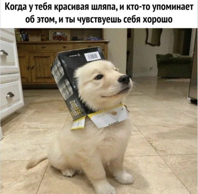 Заряжаемся смехом: угарная подборка мемов Заряжаемся смехом: угарная подборка мемов мемы, приколы, юмор, позитив, картинки
