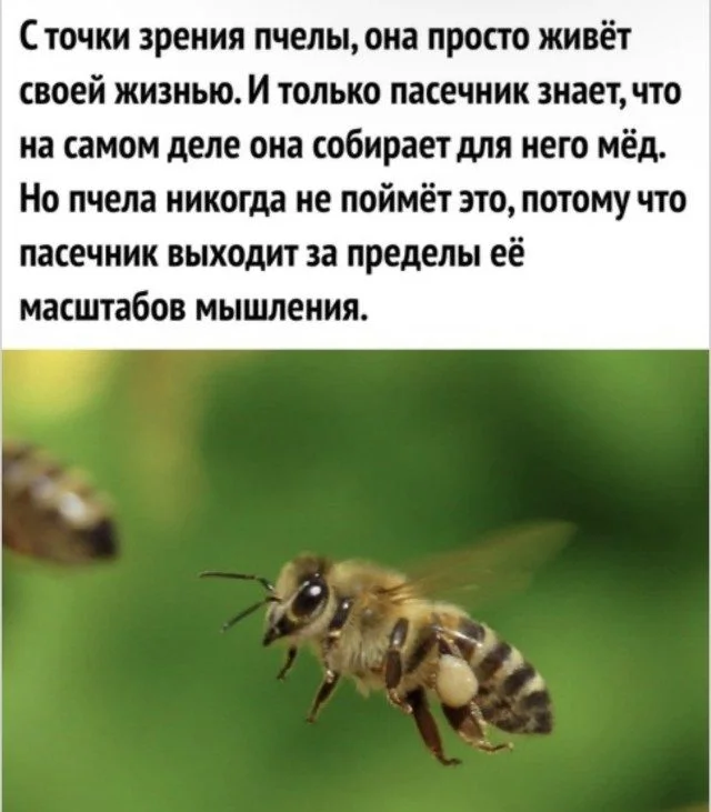 Энергия порядка в беспорядочных мемах Энергия порядка в беспорядочных мемах мемы, приколы, беспорядок, рабочий стол, подборка