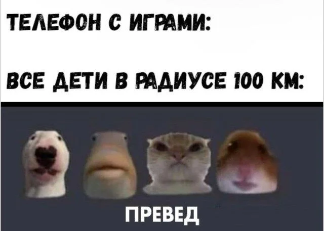 Энергия порядка в беспорядочных мемах Энергия порядка в беспорядочных мемах мемы, приколы, беспорядок, рабочий стол, подборка