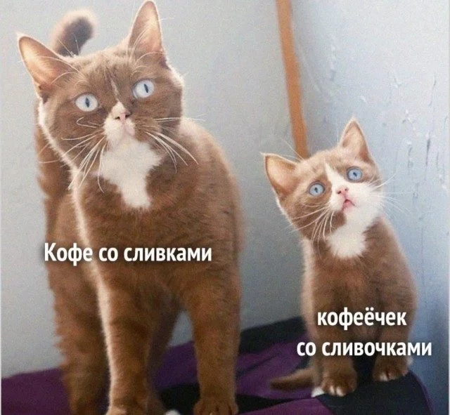 Записки наблюдателя: как выглядят люди со стороны