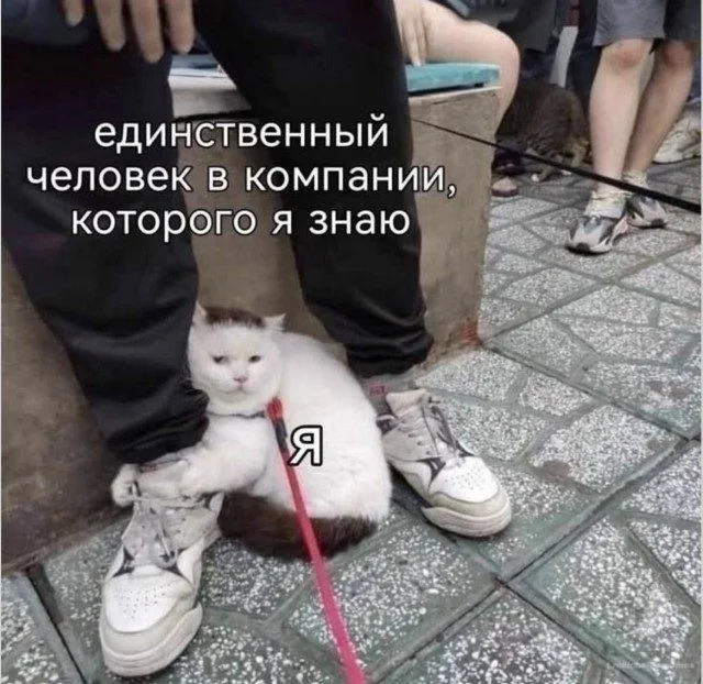 Записки наблюдателя: как выглядят люди со стороны приколы, картинки, инопланетяне, наблюдение, уфология