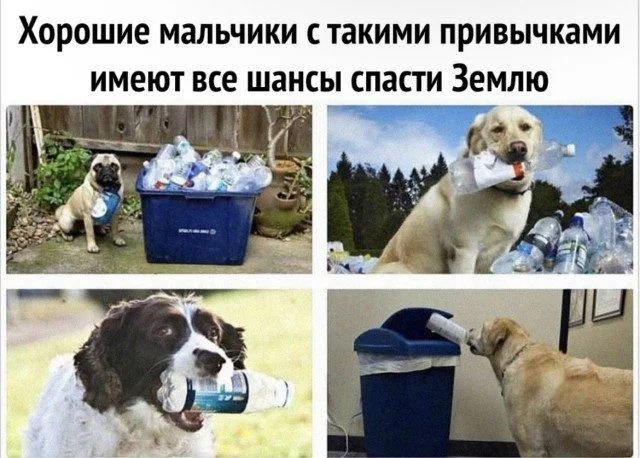 Биология смеха: вскрываем мем до костей юмор, мемы, наука, психология, биология