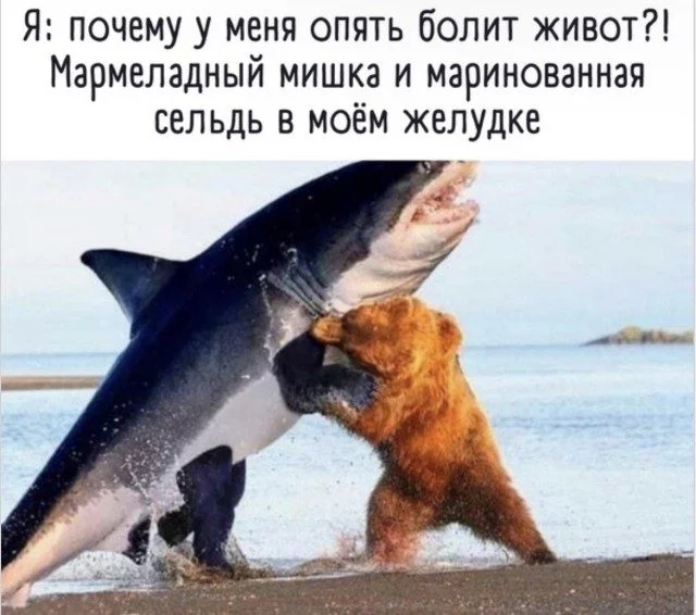 Биология смеха: вскрываем мем до костей юмор, мемы, наука, психология, биология