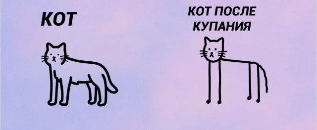 Биология смеха: вскрываем мем до костей юмор, мемы, наука, психология, биология