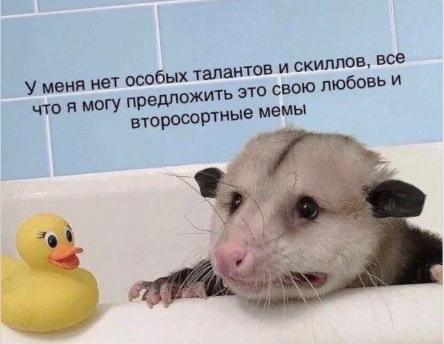 Биология смеха: вскрываем мем до костей юмор, мемы, наука, психология, биология