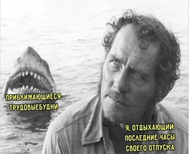 Биология смеха: вскрываем мем до костей юмор, мемы, наука, психология, биология