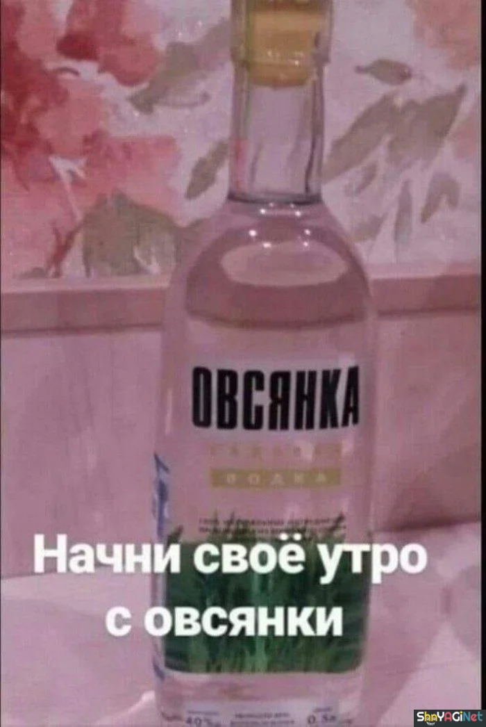 Алко-юмор: подборка приколов приколы, алкоголь, юмор, картинки, настроение