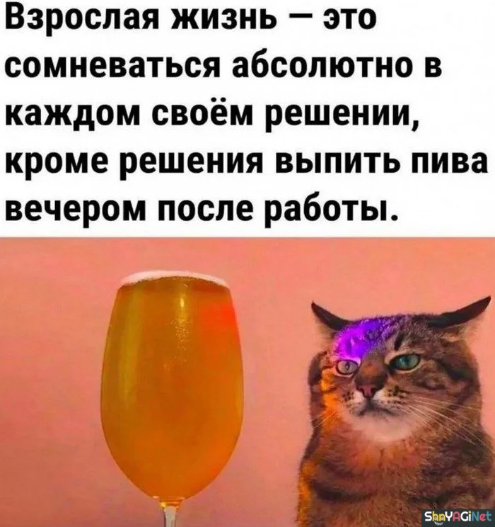 Алко-юмор: подборка приколов приколы, алкоголь, юмор, картинки, настроение