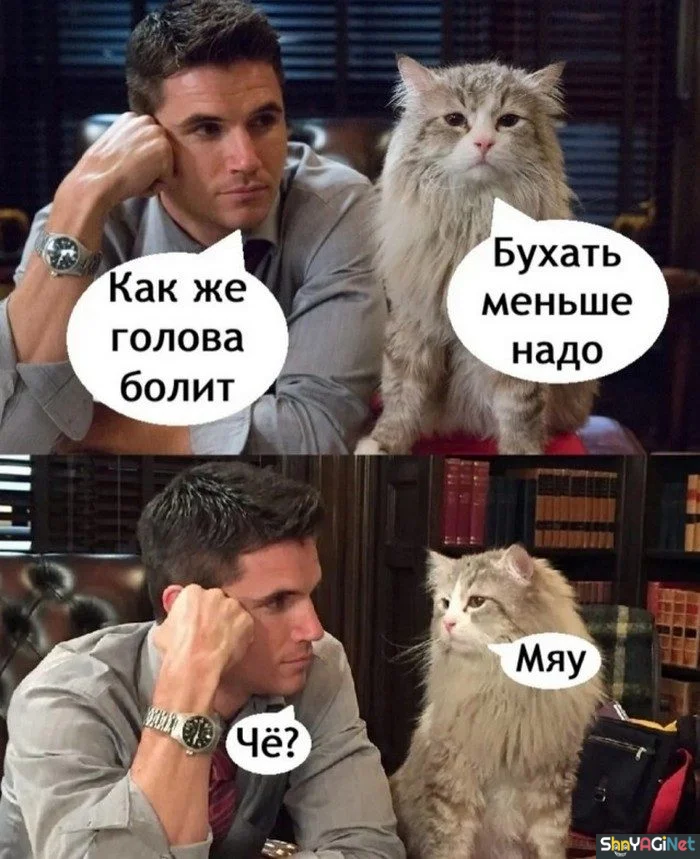 Алко-юмор: подборка приколов приколы, алкоголь, юмор, картинки, настроение