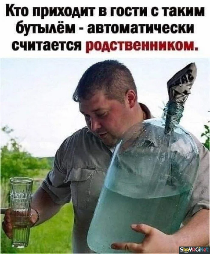 Алко-юмор: подборка приколов приколы, алкоголь, юмор, картинки, настроение