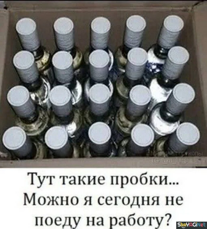 Алко-юмор: подборка приколов приколы, алкоголь, юмор, картинки, настроение