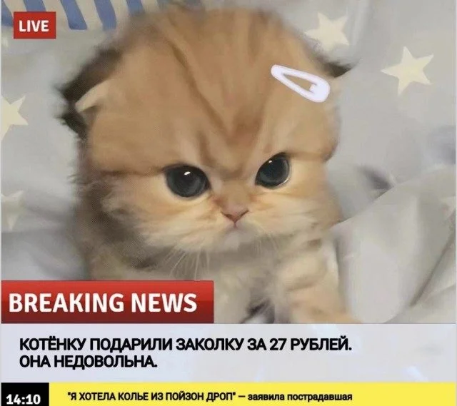 Мемы, которые поймут все мемы, приколы, картинки, подборка, смешное, жизненное