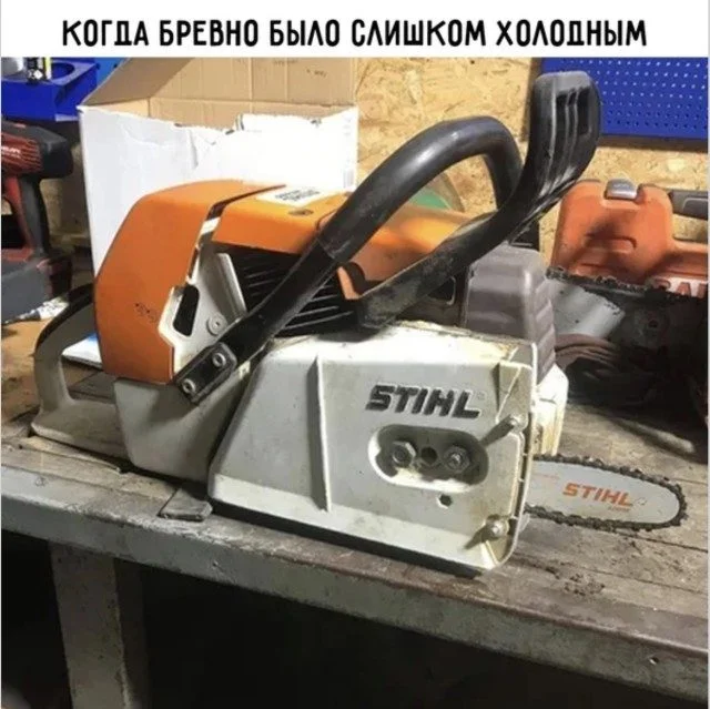 ПДД для пешеходов: как выжить на дороге жизни