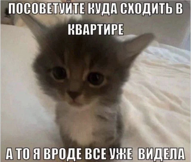 Бытовое волшебство в картинках Бытовое волшебство в картинках юмор, картинки, быт