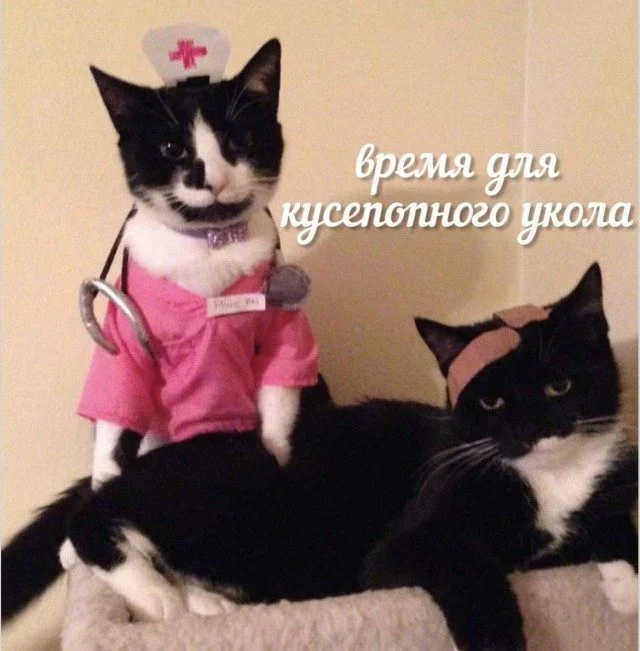 Бытовое волшебство в картинках Бытовое волшебство в картинках юмор, картинки, быт