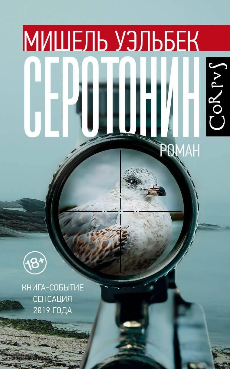 Главные книги десятилетия: 10 романов, которые стоит прочитать книги, литература, романы, 2010-е, чтение