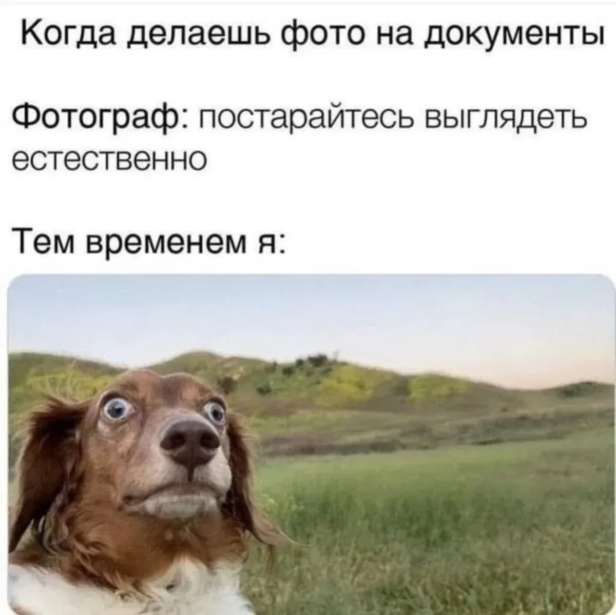 Смешные картинки и мемы дня: как пережить субботу Смешные картинки и мемы дня: как пережить субботу юмор, мемы, приколы, подборка, суббота