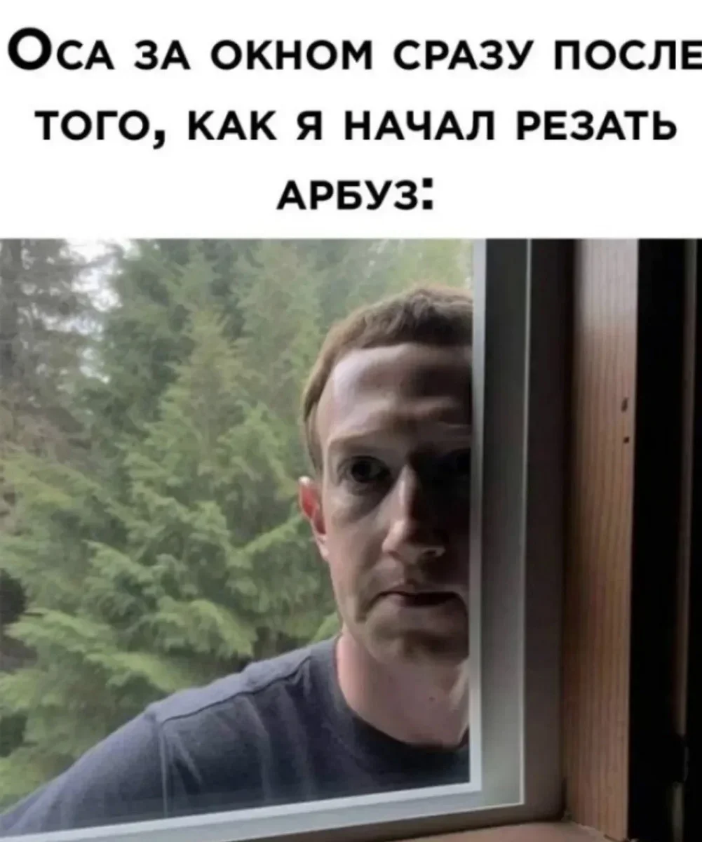 Смешные картинки и мемы дня: как пережить субботу Смешные картинки и мемы дня: как пережить субботу юмор, мемы, приколы, подборка, суббота