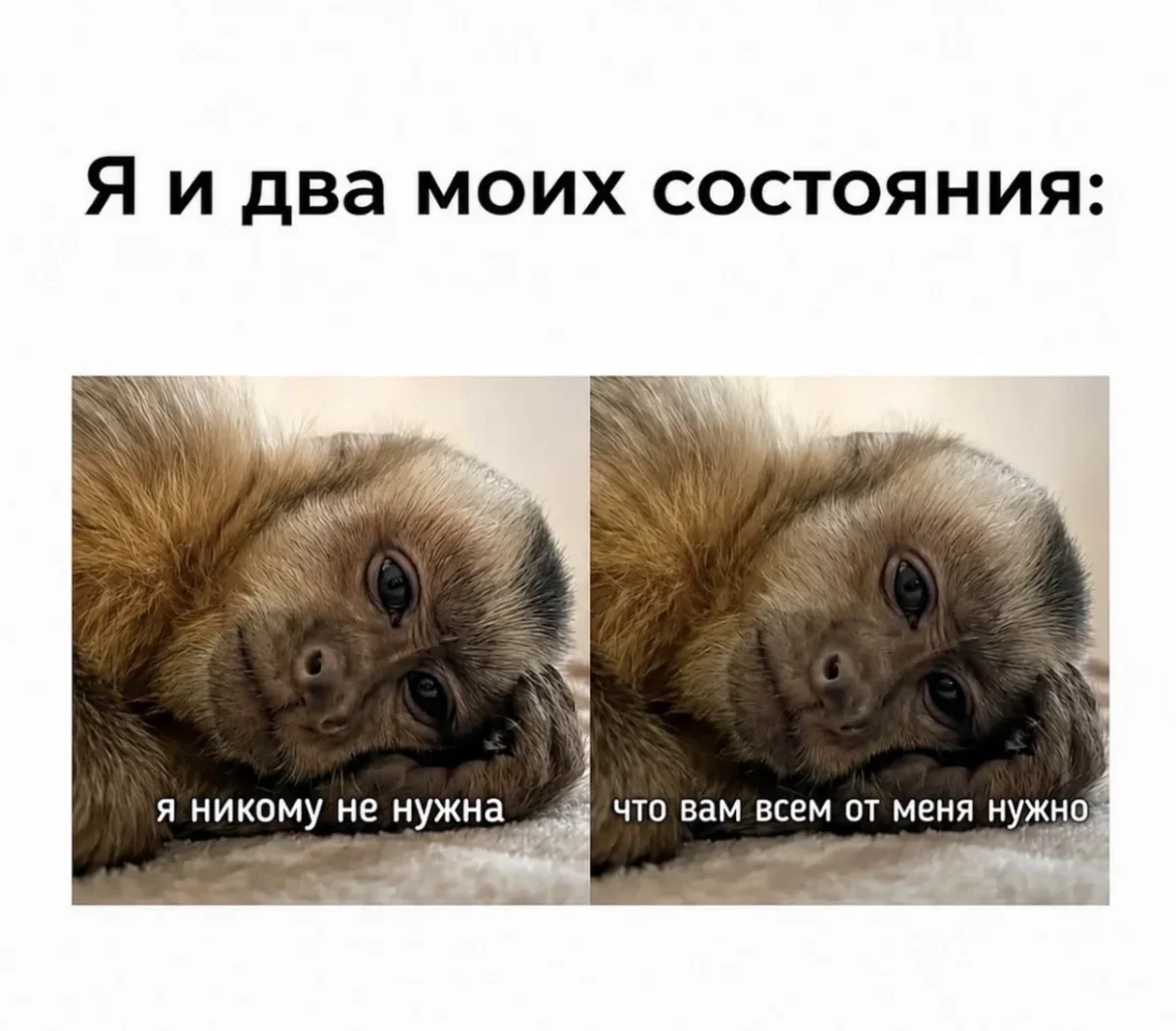 Смешные картинки и мемы дня: как пережить субботу Смешные картинки и мемы дня: как пережить субботу юмор, мемы, приколы, подборка, суббота