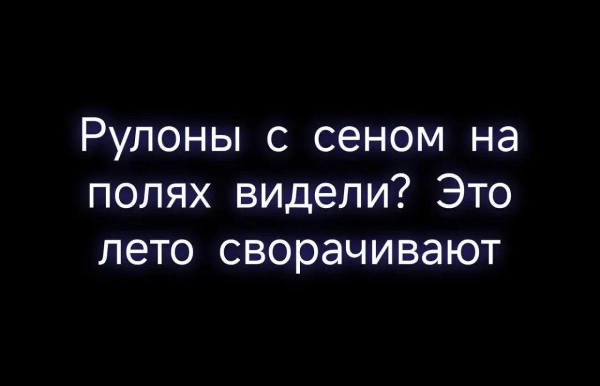 Смешные картинки и мемы дня: как пережить субботу Смешные картинки и мемы дня: как пережить субботу юмор, мемы, приколы, подборка, суббота