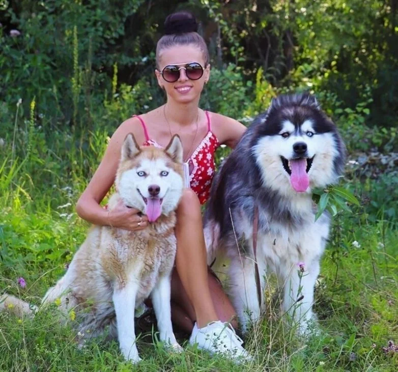 20 фото, глядя на которые невозможно не улыбнуться собаки, подборка фото, позитив, милота, животные