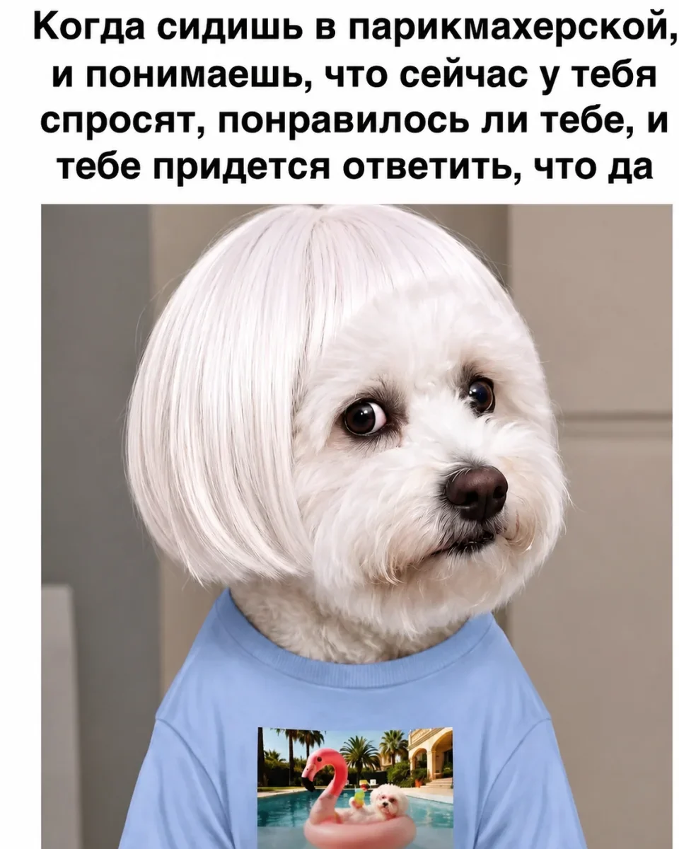 Юмор за день: судья, быт и другие поводы улыбнуться