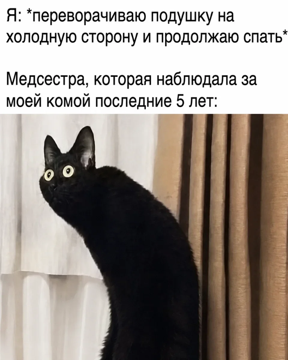 Юмор за день: судья, быт и другие поводы улыбнуться юмор, мемы, приколы, подборка картинок, воскресенье