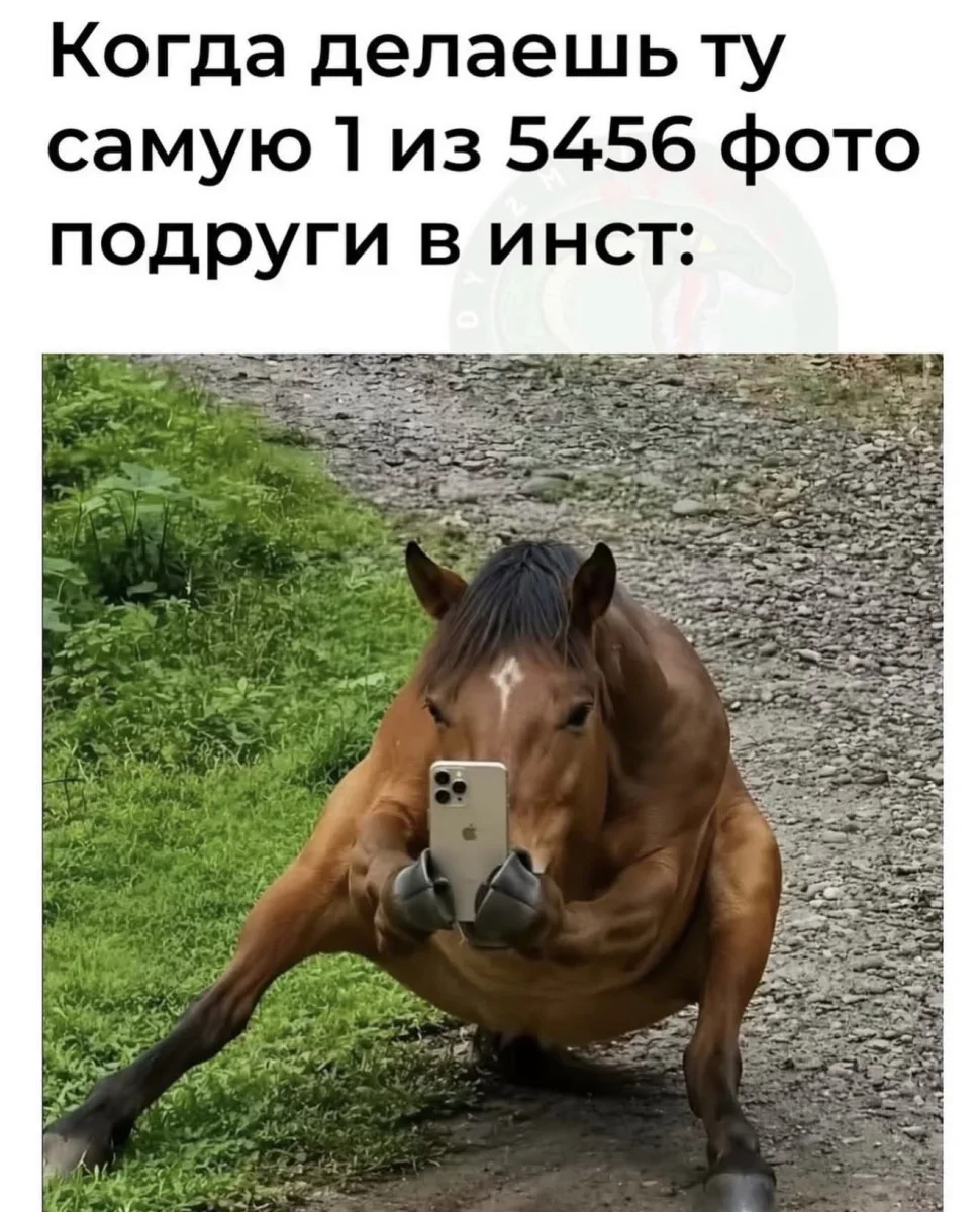 Юмор за день: судья, быт и другие поводы улыбнуться юмор, мемы, приколы, подборка картинок, воскресенье