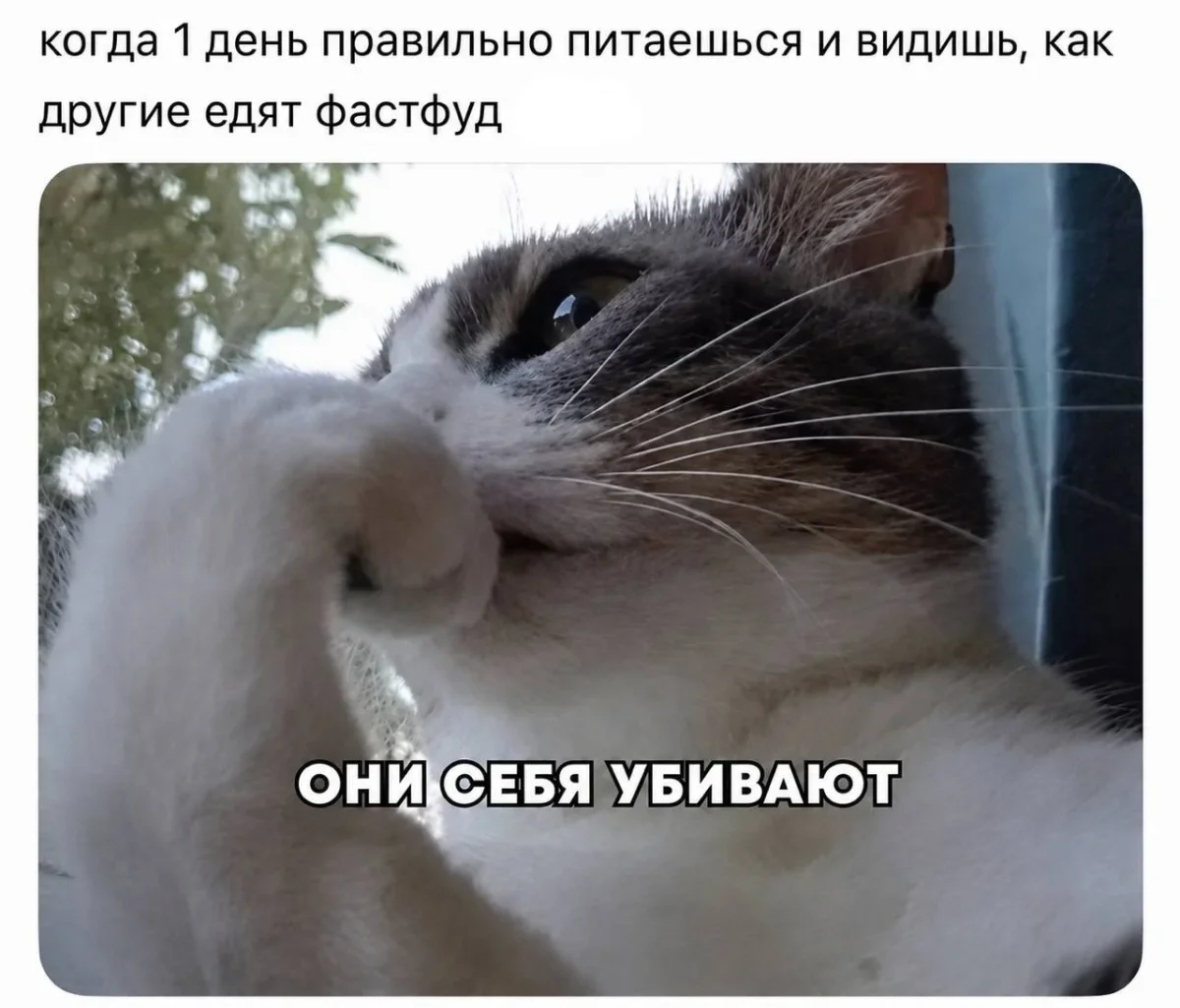 Мемы недели: как мы выживали с 3 по 9 августа мемы, приколы, юмор, подборка, август