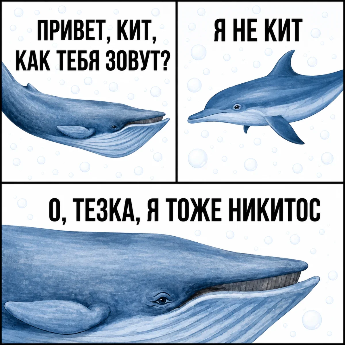 Мемы недели: как мы выживали с 3 по 9 августа мемы, приколы, юмор, подборка, август