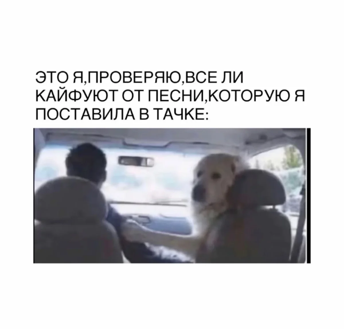 Мемы недели: как мы выживали с 3 по 9 августа мемы, приколы, юмор, подборка, август