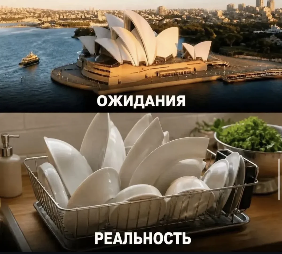 Мемы недели: как мы выживали с 3 по 9 августа мемы, приколы, юмор, подборка, август
