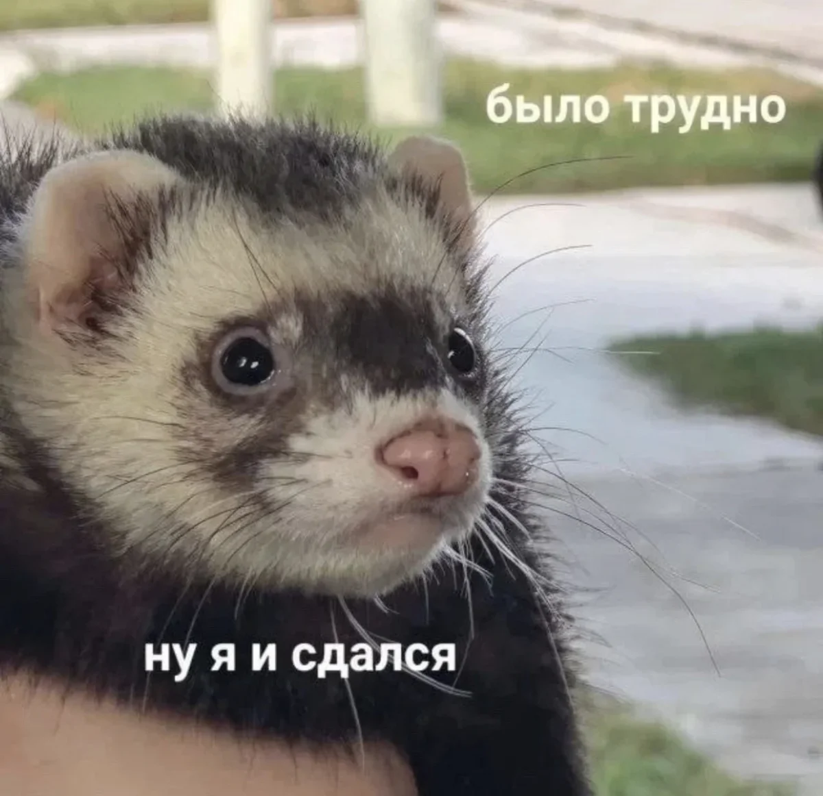 Мемы недели: как мы выживали с 3 по 9 августа мемы, приколы, юмор, подборка, август