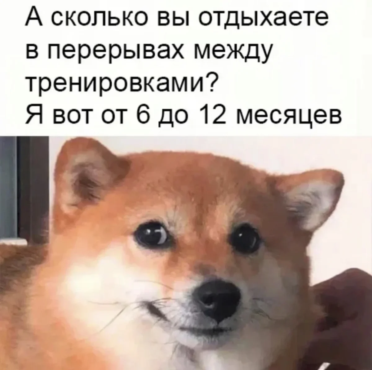 Мемы недели: как мы выживали с 3 по 9 августа мемы, приколы, юмор, подборка, август