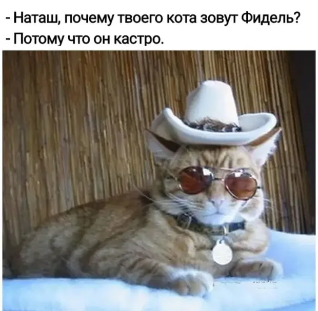 Жизненные шутки, которые поймет каждый