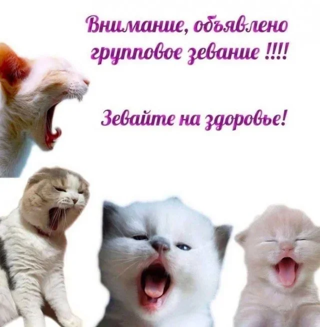 Свежие мемы для бодрого утра мемы, приколы, юмор, подборка, картинки