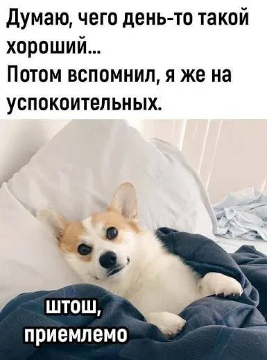 Свежие мемы для бодрого утра мемы, приколы, юмор, подборка, картинки