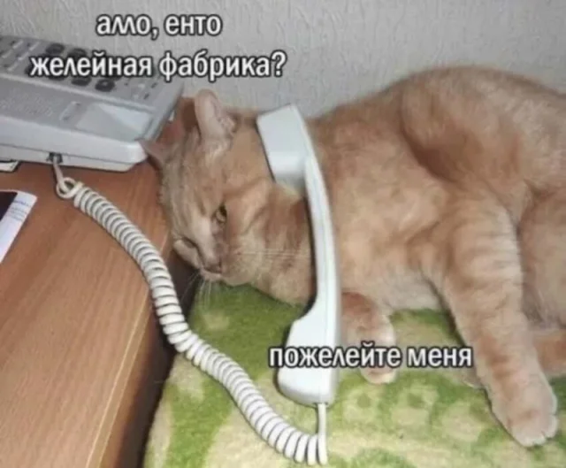 Свежие мемы для бодрого утра мемы, приколы, юмор, подборка, картинки
