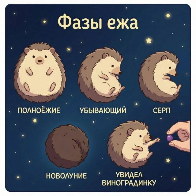 Свежие мемы для бодрого утра мемы, приколы, юмор, подборка, картинки