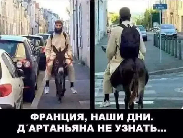 Смешные истории и анекдоты на вечер анекдоты, юмор, смешное, подборка, короткие истории, настроение