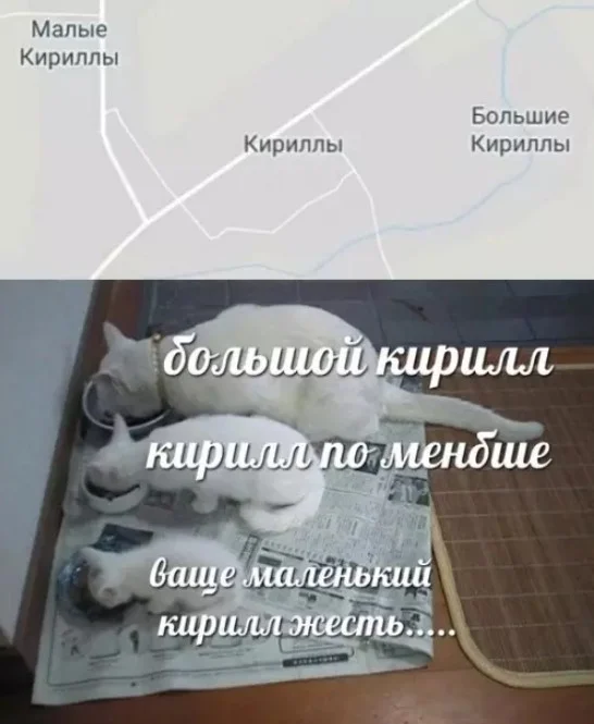 Заряжаемся позитивом: свежие мемы и приколы мемы, приколы, юмор, подборка, позитив