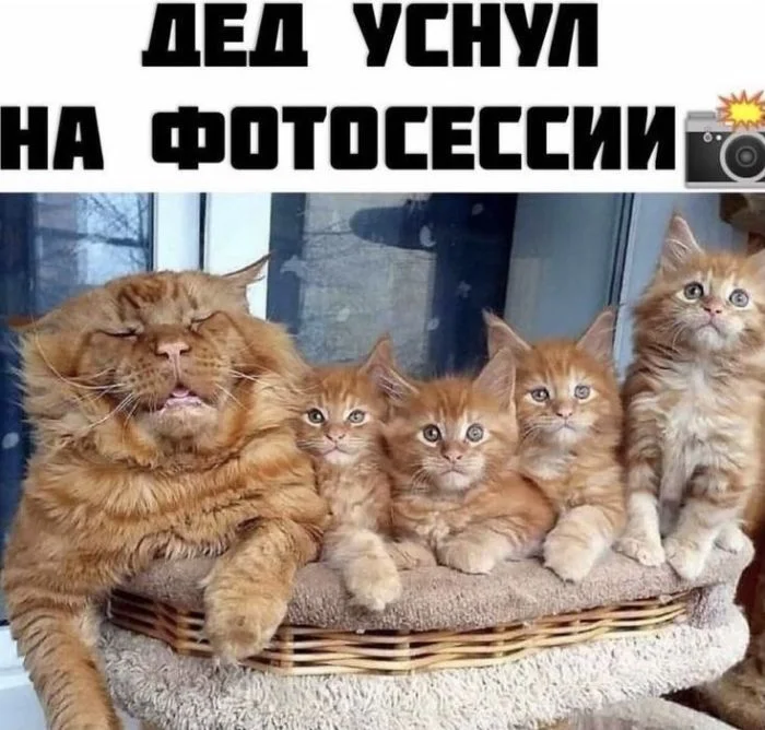 Заряжаемся позитивом: свежие мемы и приколы мемы, приколы, юмор, подборка, позитив